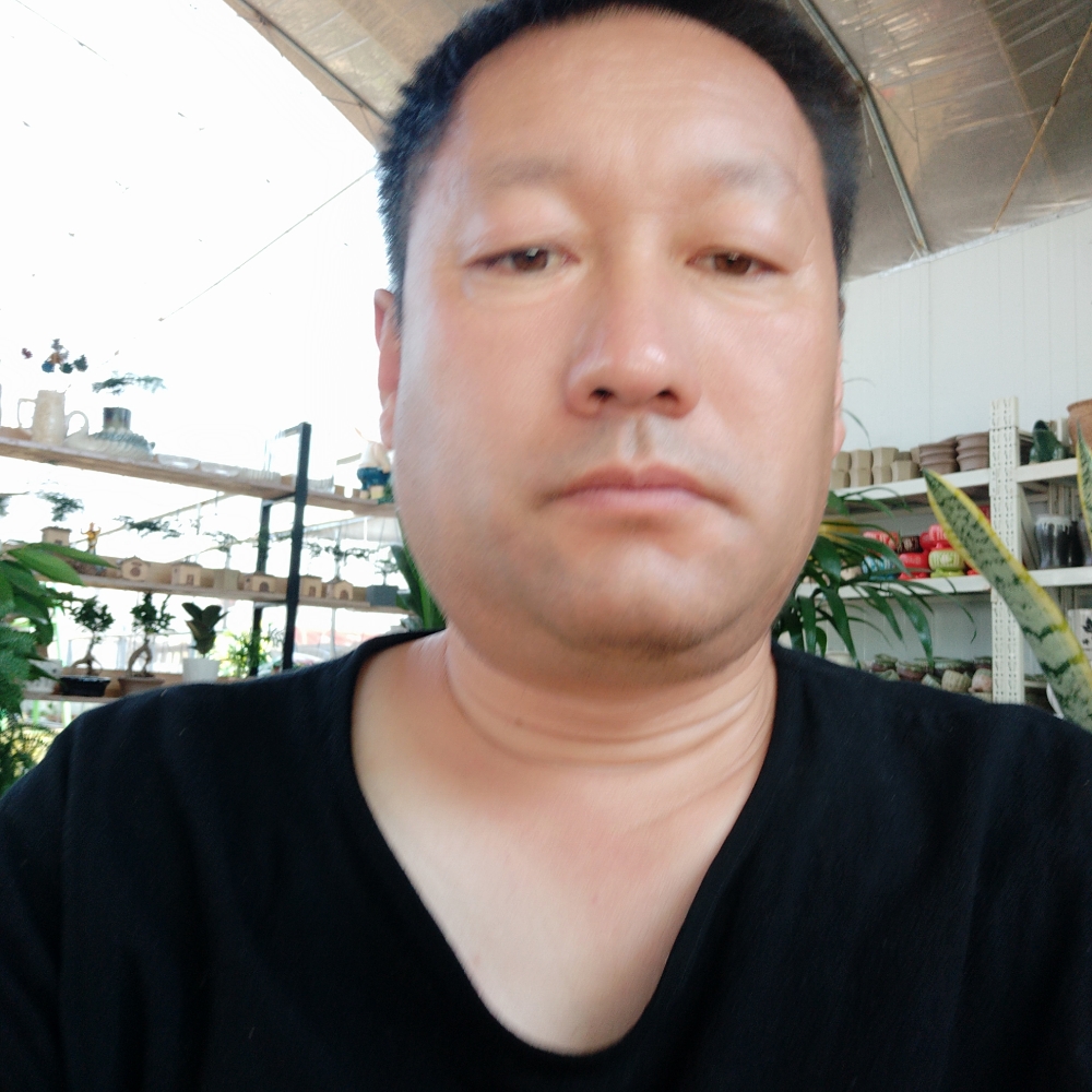 往事清零，爱恨的照片