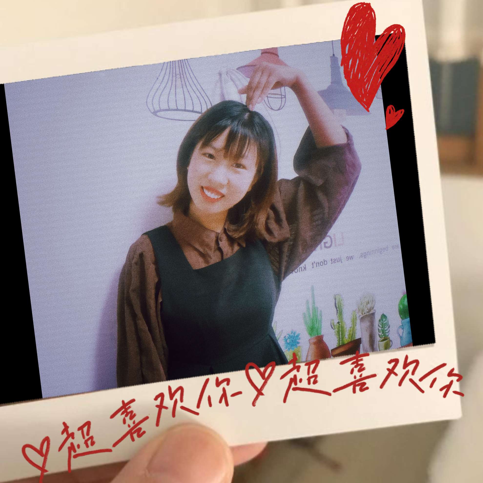 安迪，的照片