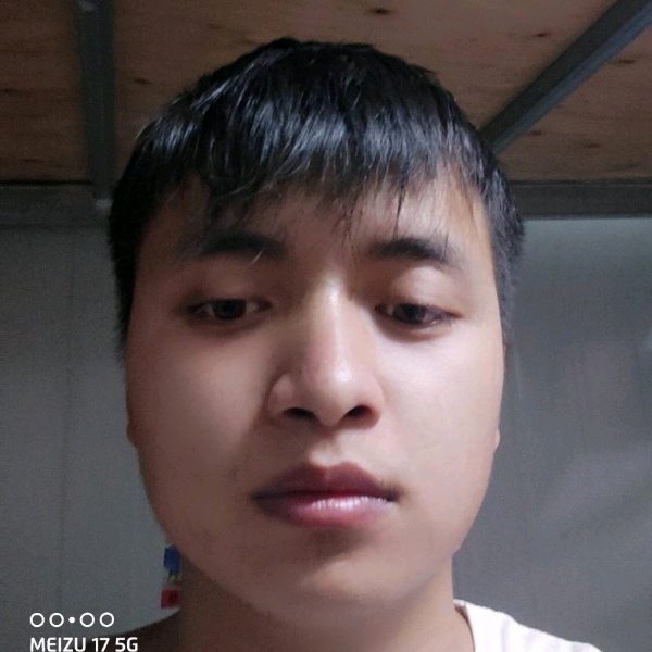 羽毛倾心优雅的照片