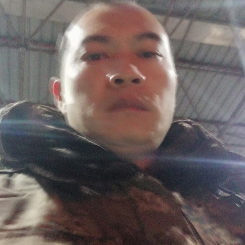 寻找我的后半生的照片
