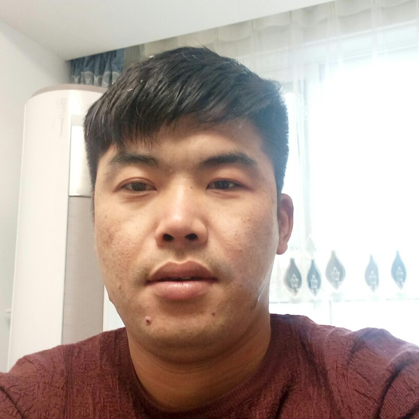 开放乌龟的照片