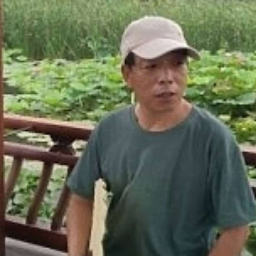 要起柳尔的照片