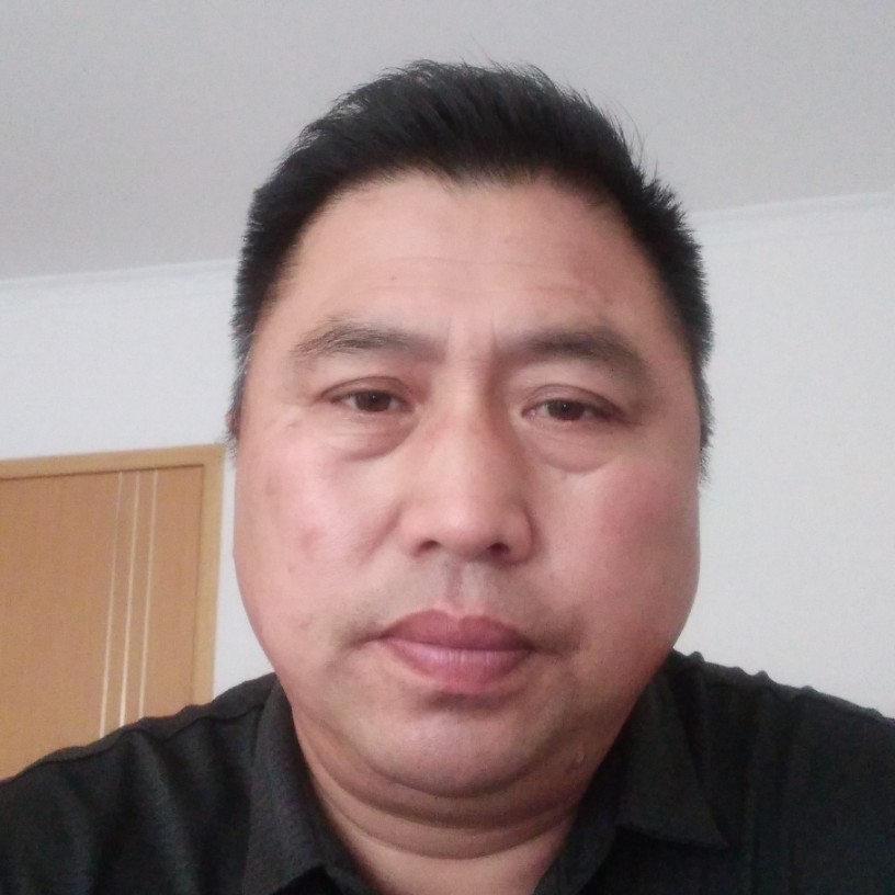 向日葵阳光的照片