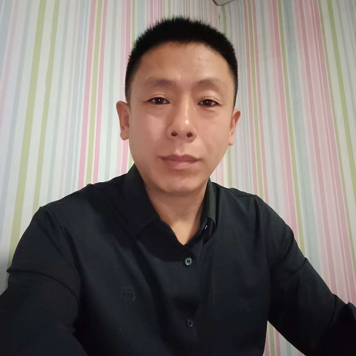 洋葱保卫朴实的照片