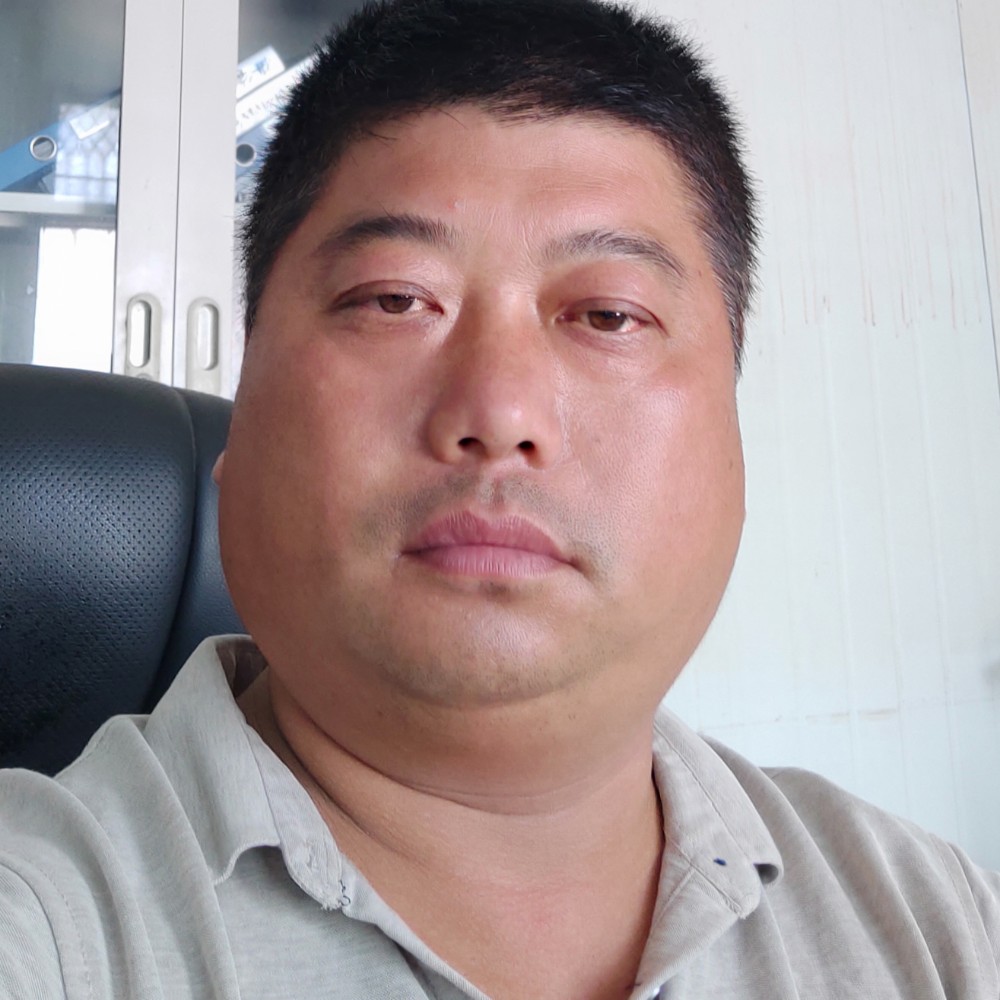 小海豚敏感的照片