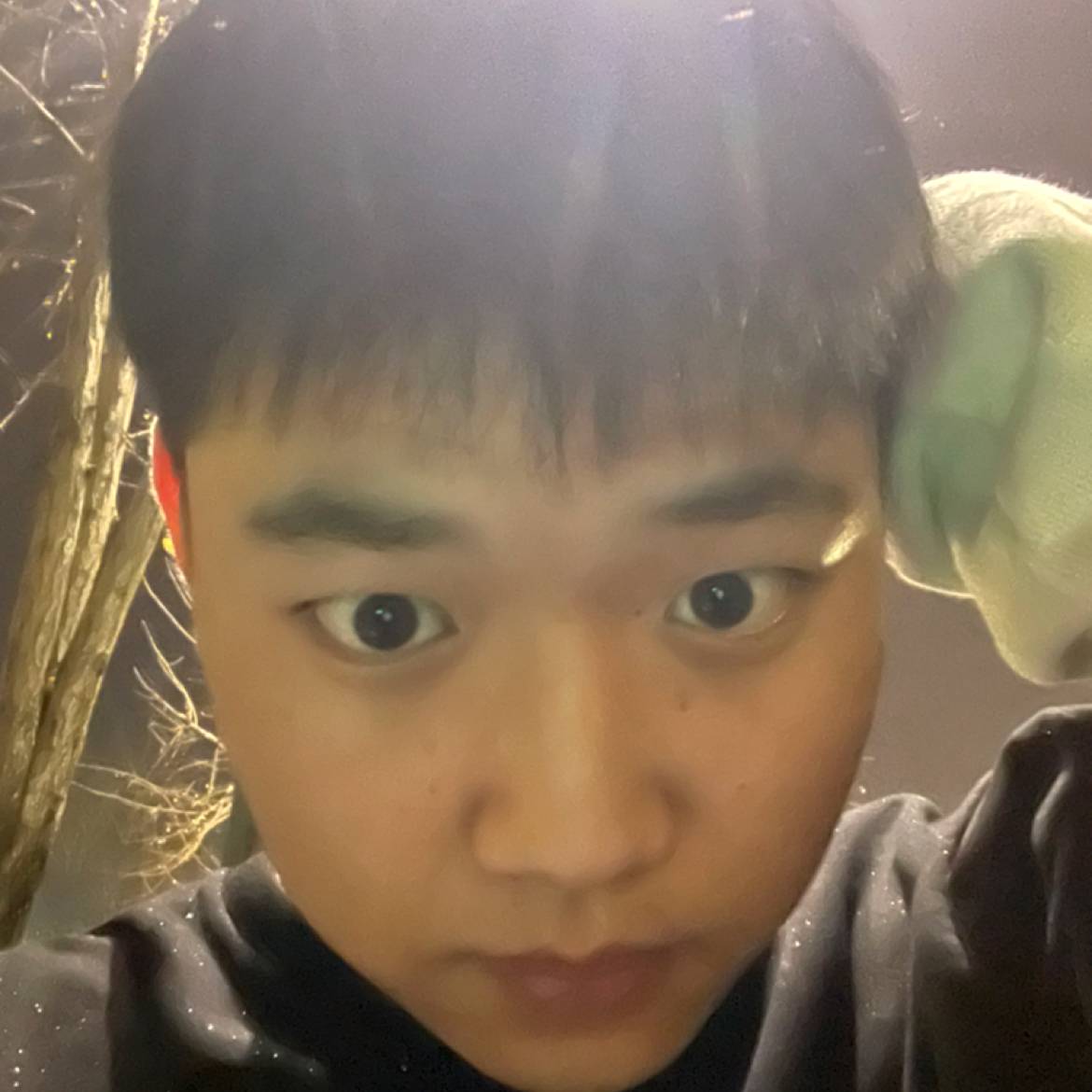 者九的照片