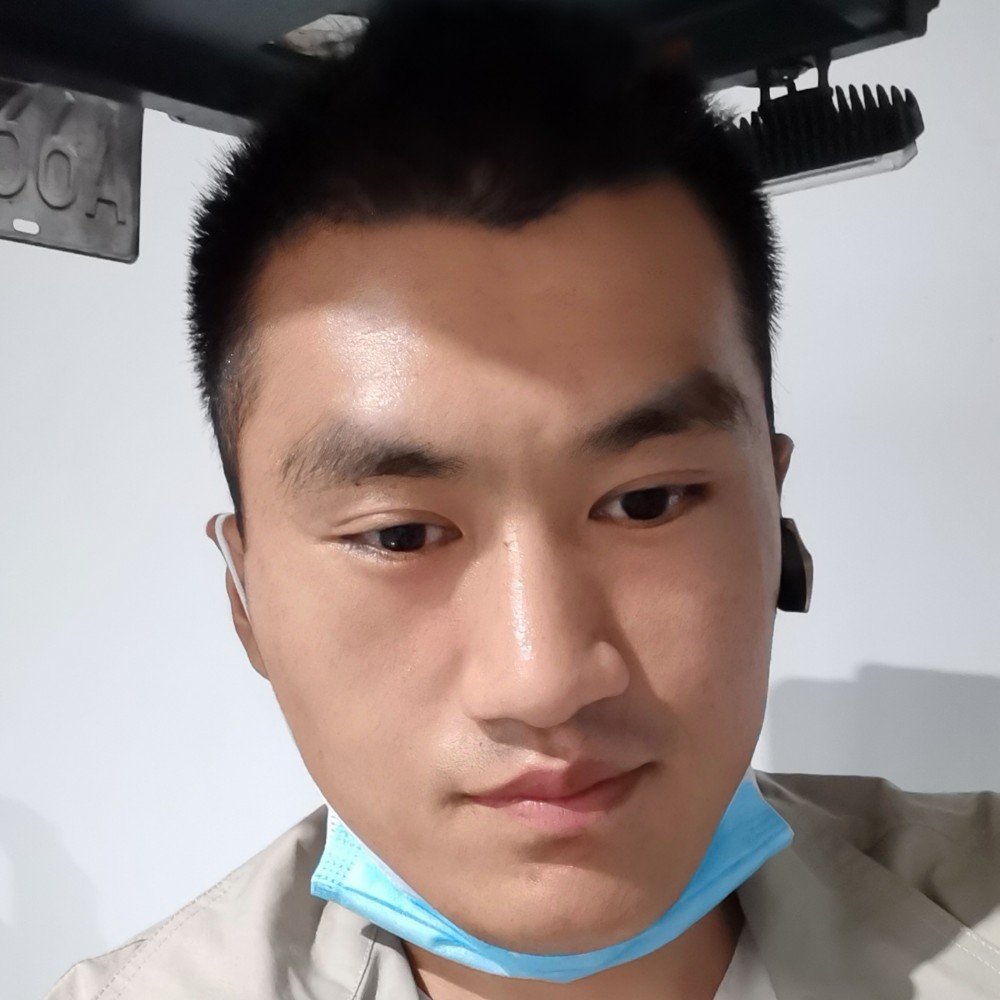 活力番茄的照片