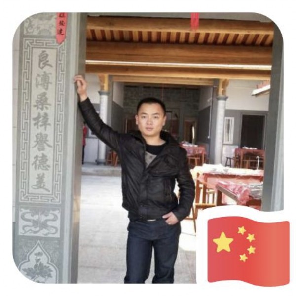 鸭子的迅速的照片