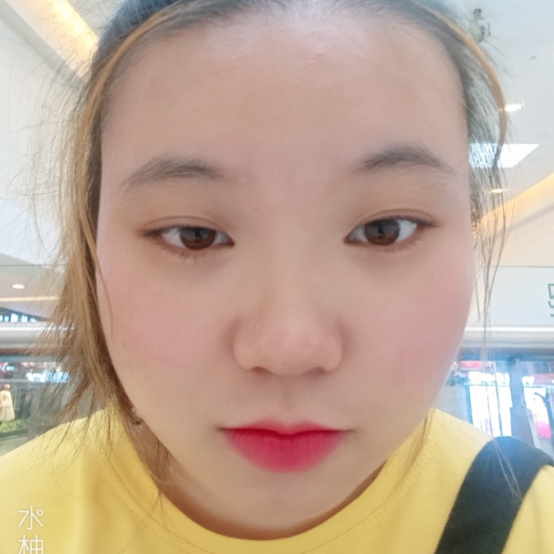 蜜蜂倾心活泼的照片