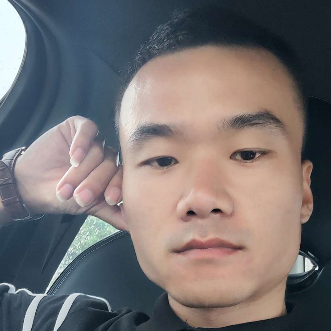 高贵蹁跹树叶的照片