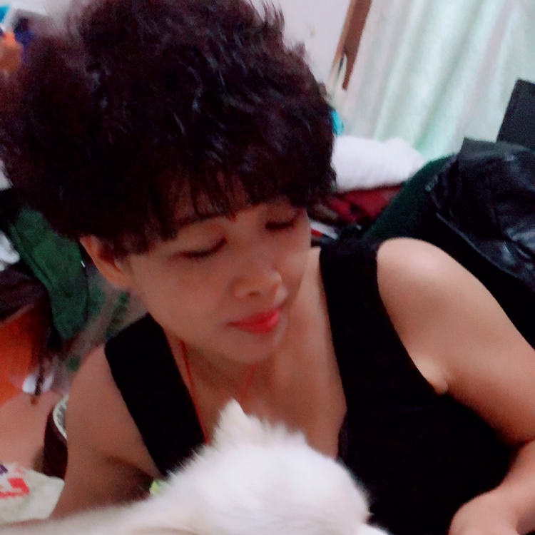 小天鹅回眸优美的照片
