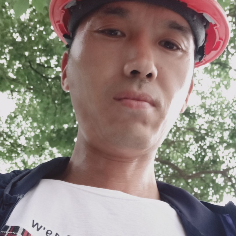 上班忙的照片