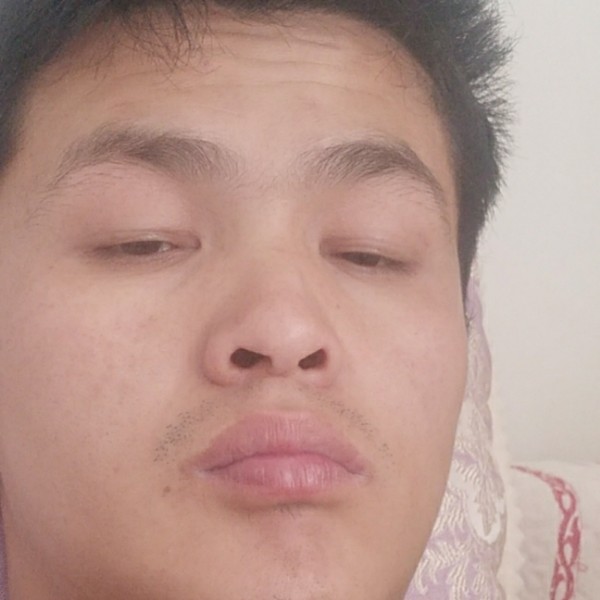 胡萝卜相许妖娆的照片