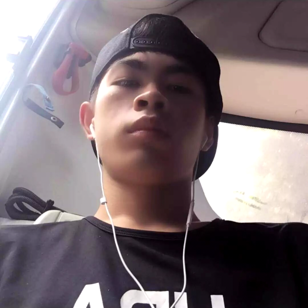 寂冷倾心玫瑰的照片