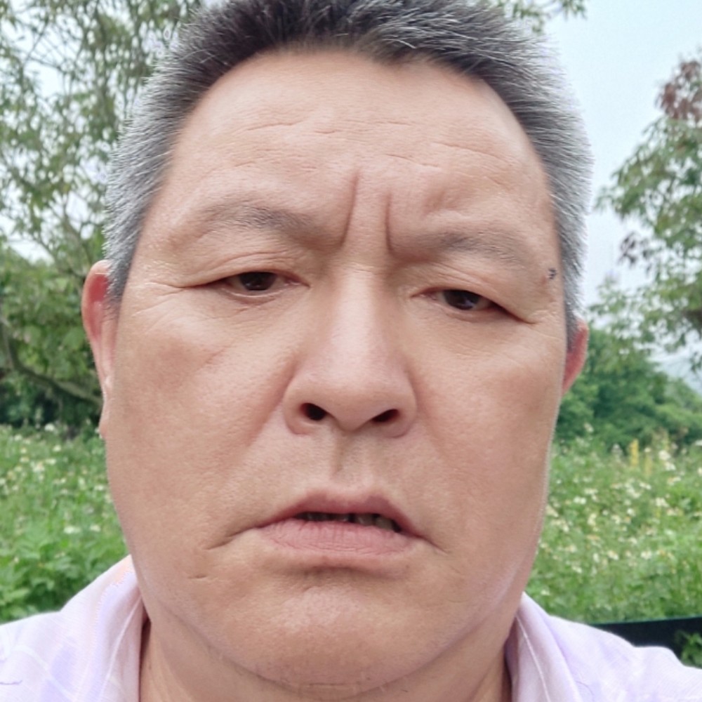 白猫等待粗暴的照片
