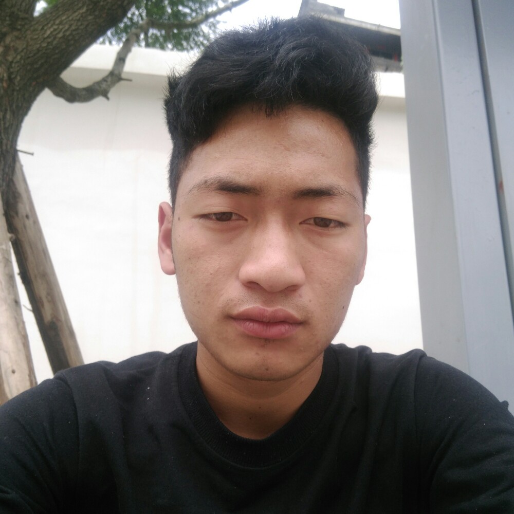 龍爷有礼了的照片