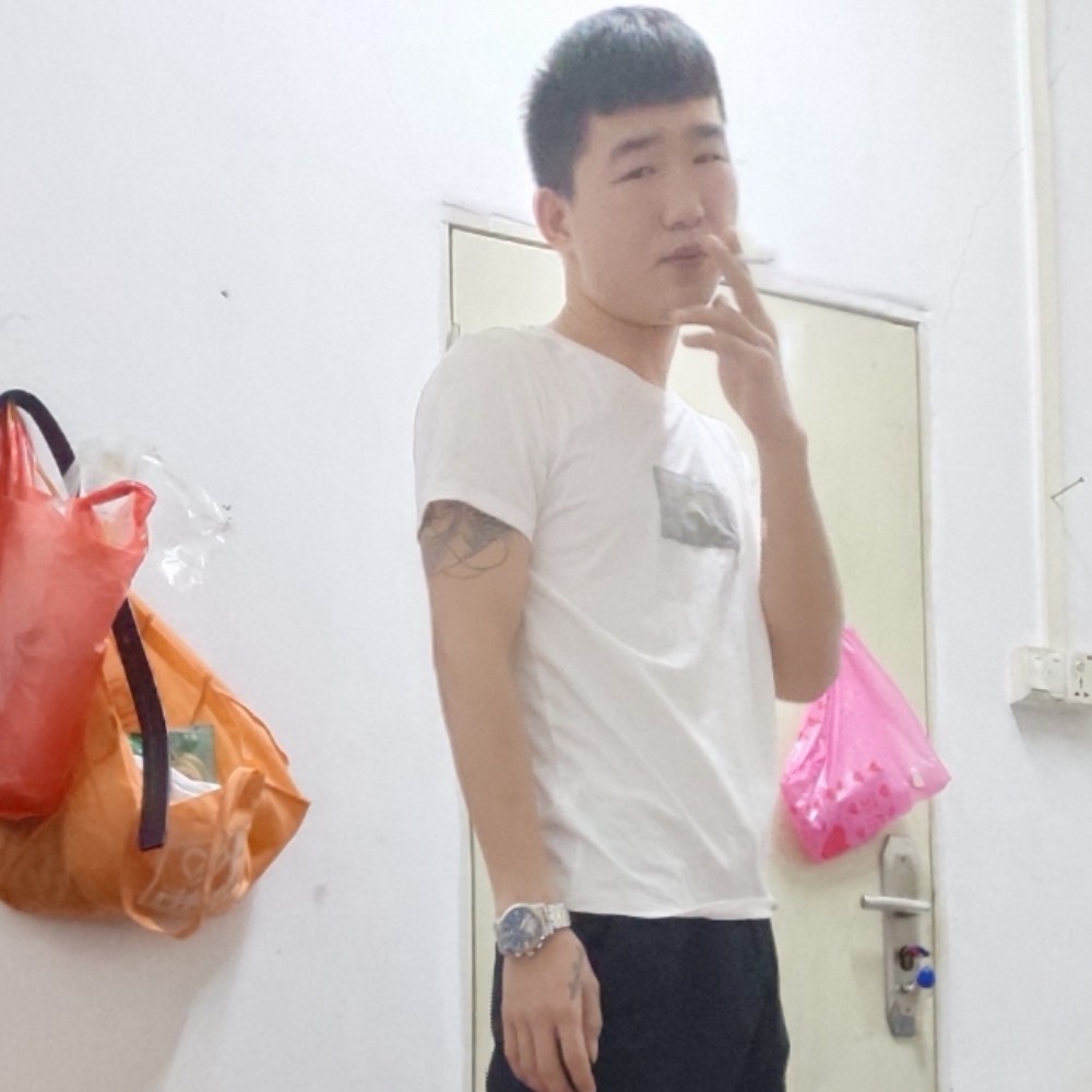 不悔遇见的照片