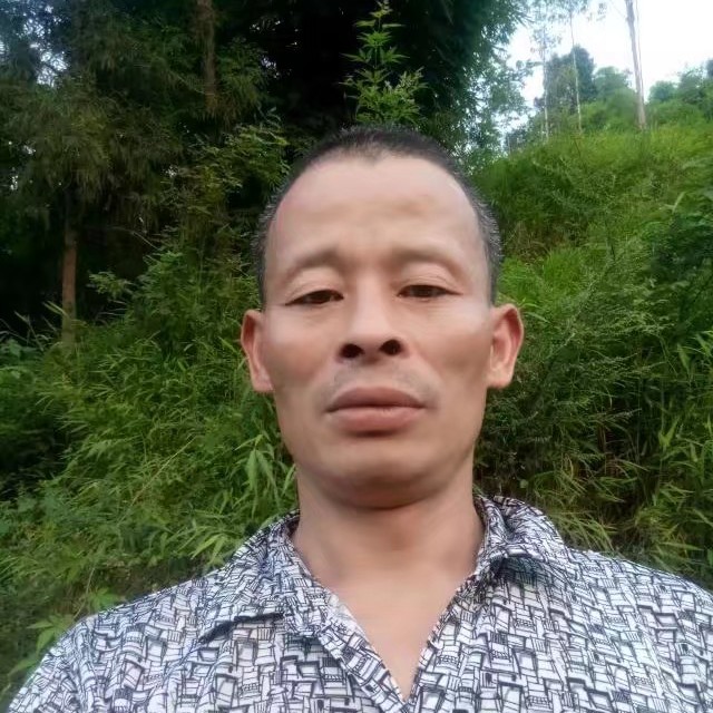 直率打发卡的照片