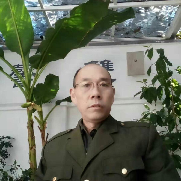 。忠义的照片