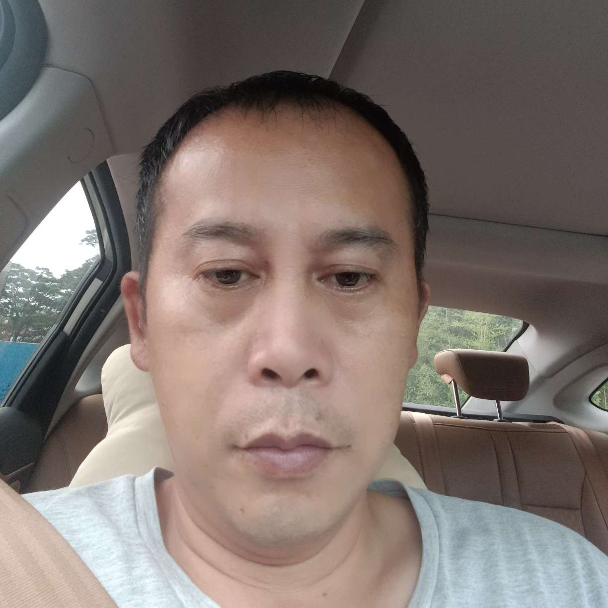 瘦瘦凝眸小懒猪的照片