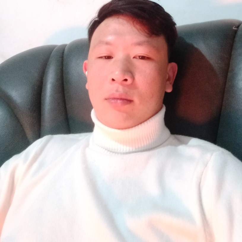 迷路笑小鸽子的照片