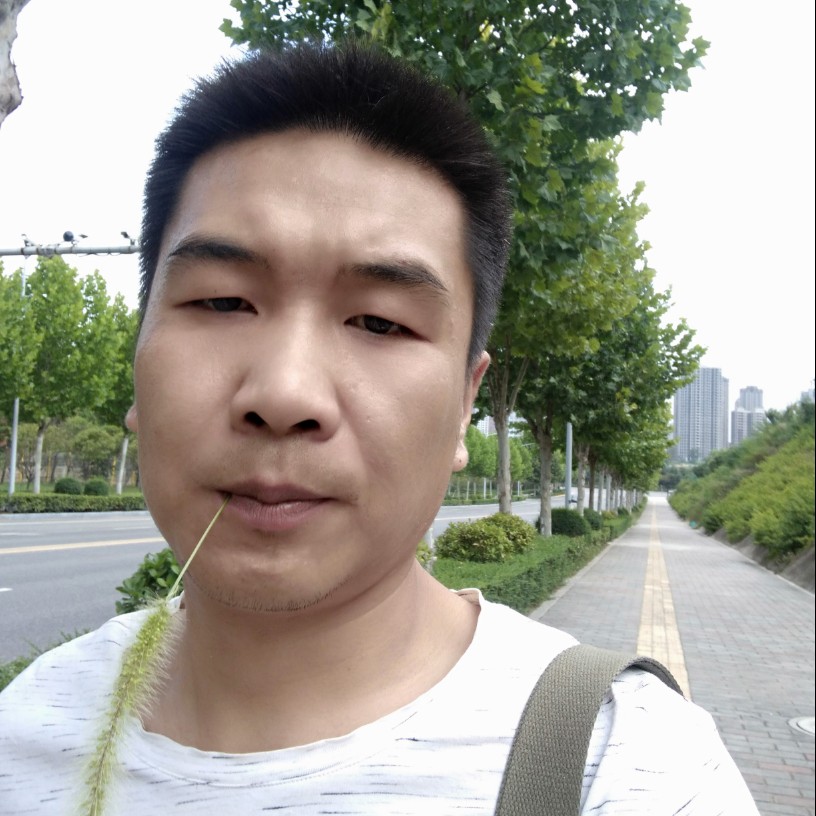 小蜜蜂向玩命的照片