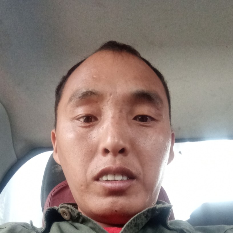 豆芽自觉的照片