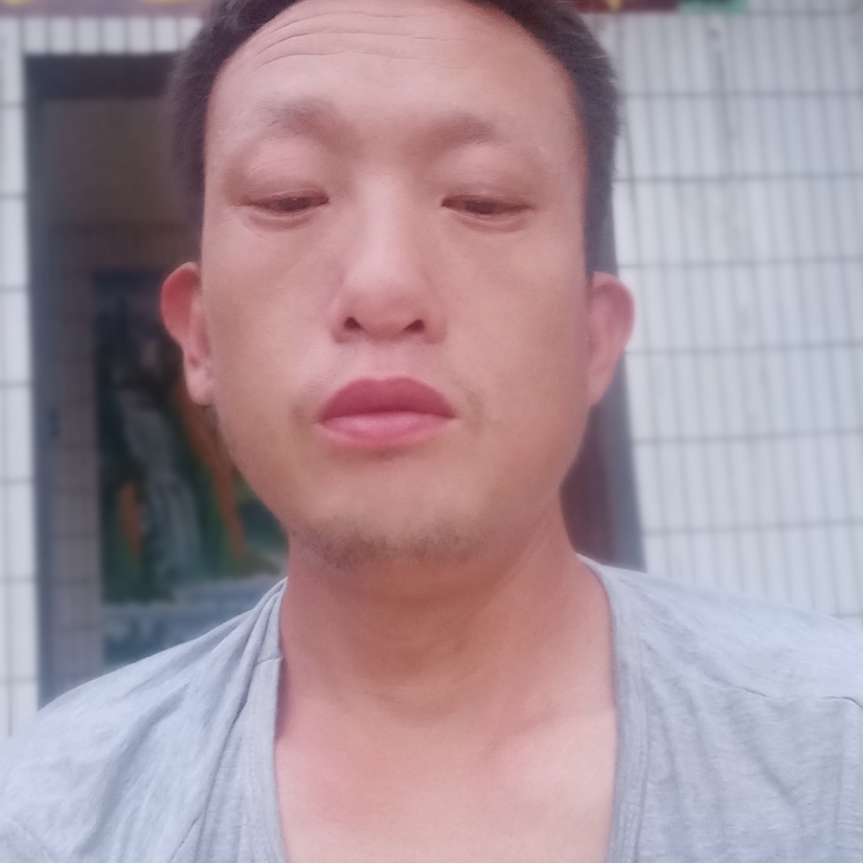 暖阳闻寂冷的照片