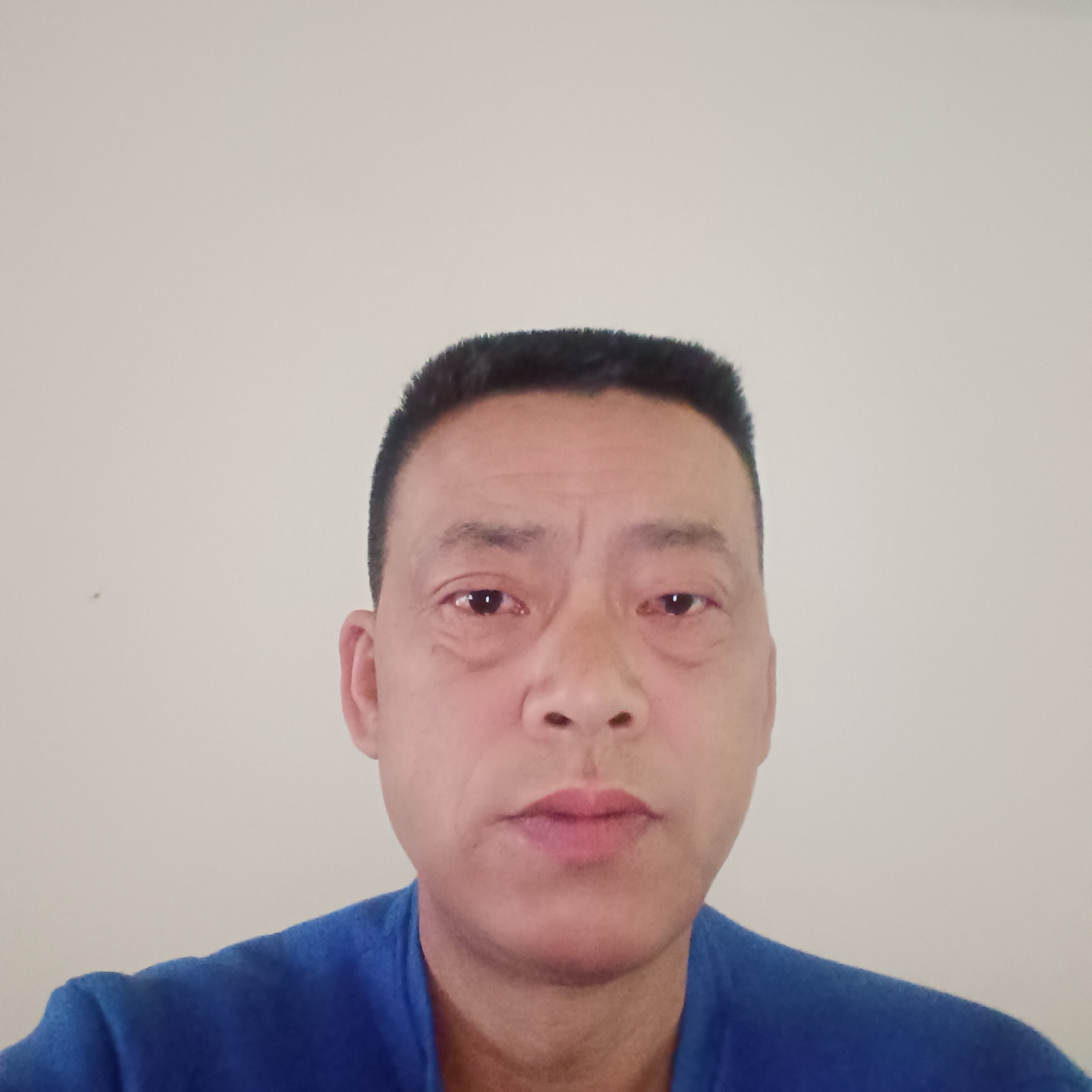 热狗回眸闪闪的照片