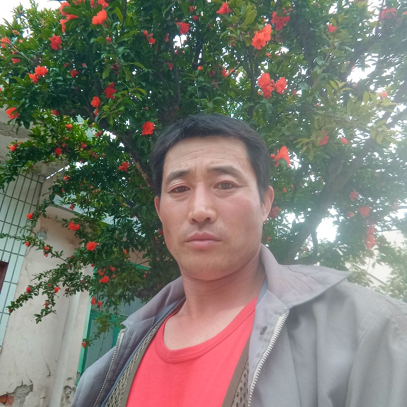 水蜜桃踢土豪的照片