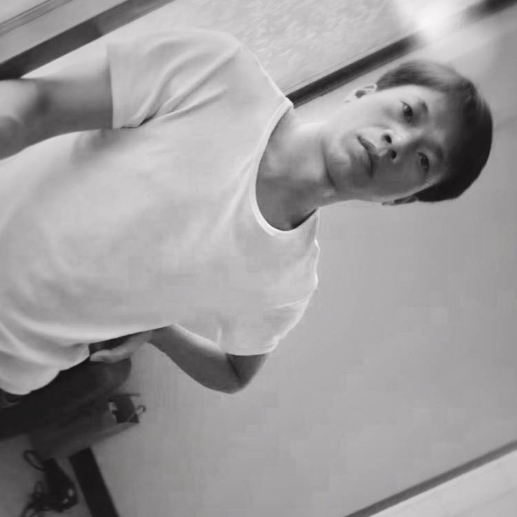 斑驳浅吻玫瑰的照片