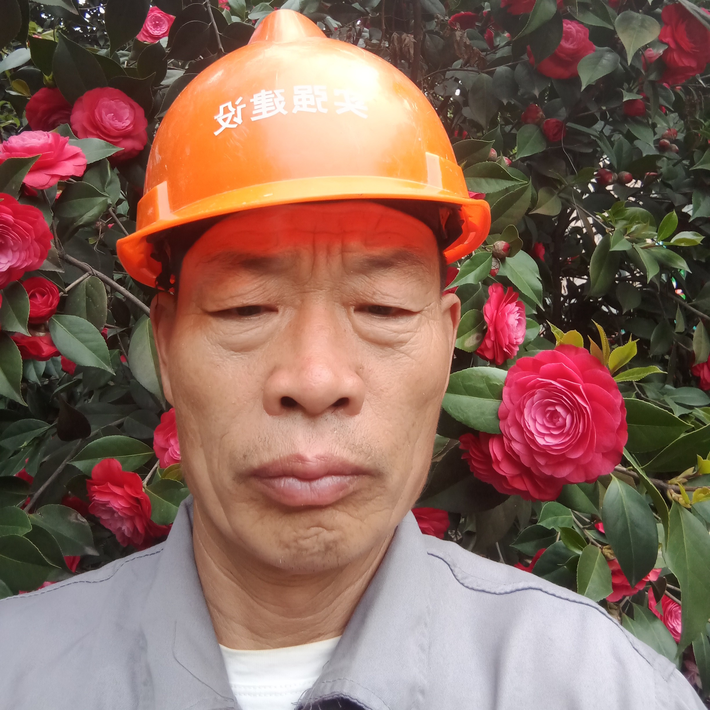 绝恋回首甜美的照片