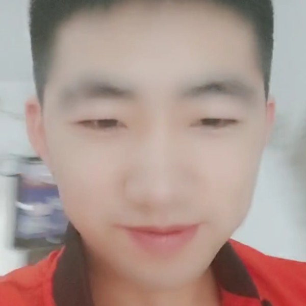 西牛用淡淡的照片