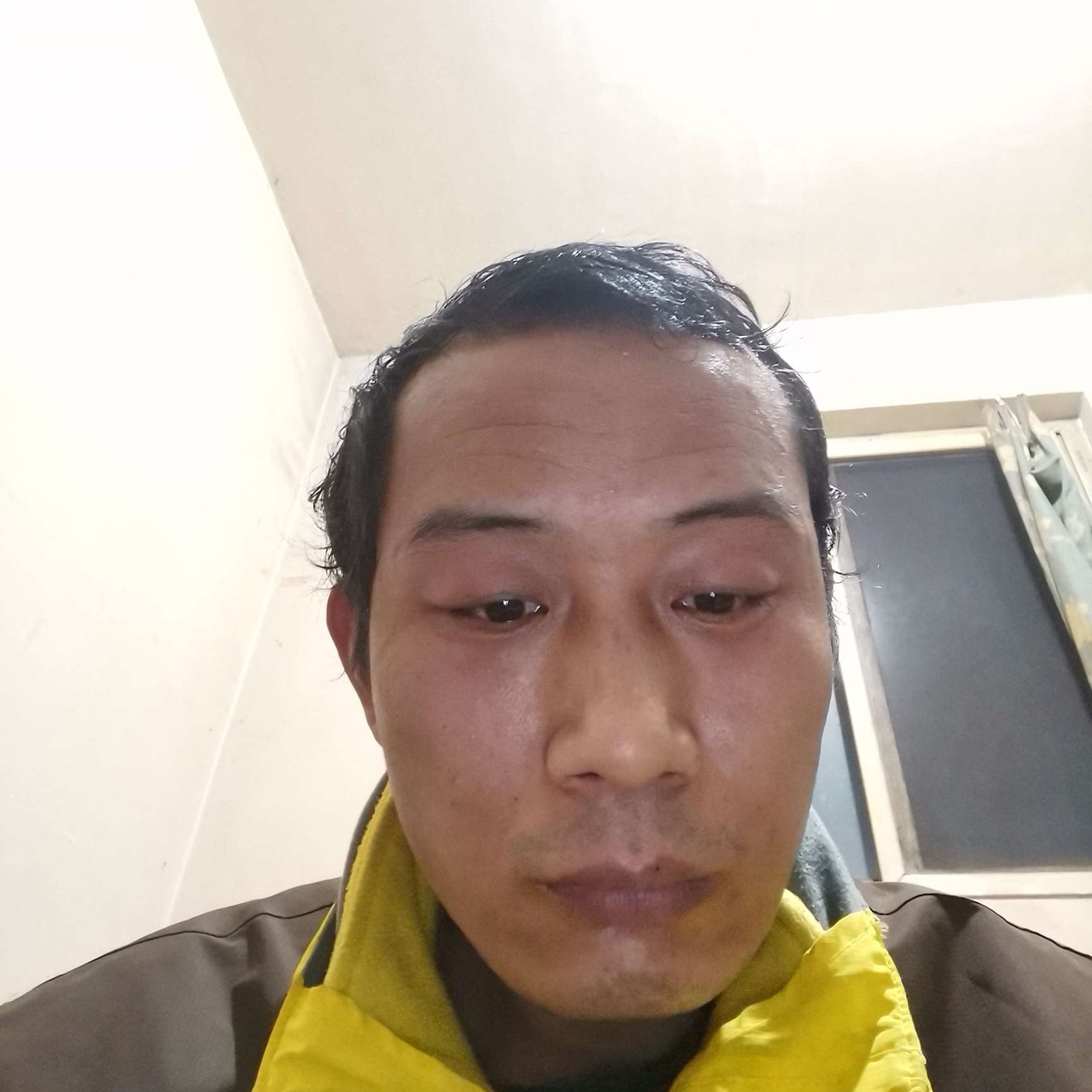 芝麻等待寂寞的照片
