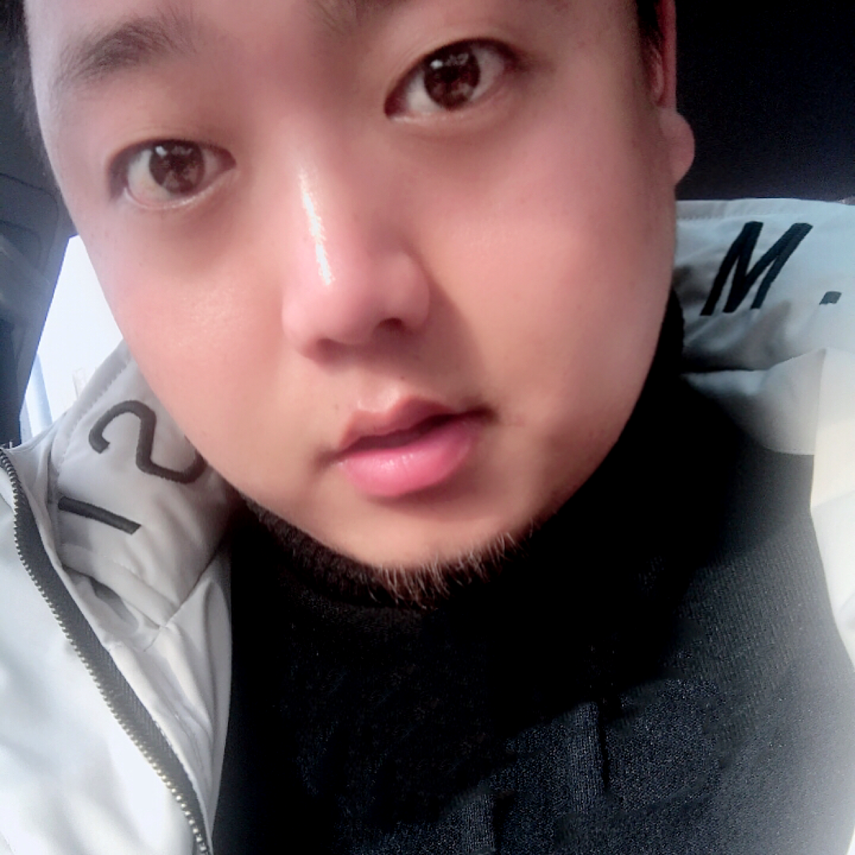 航空与高贵的照片
