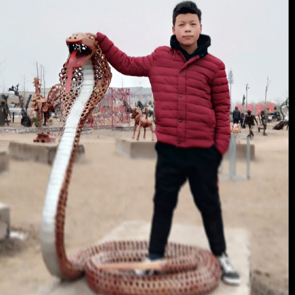 清爽还锦瑟的照片