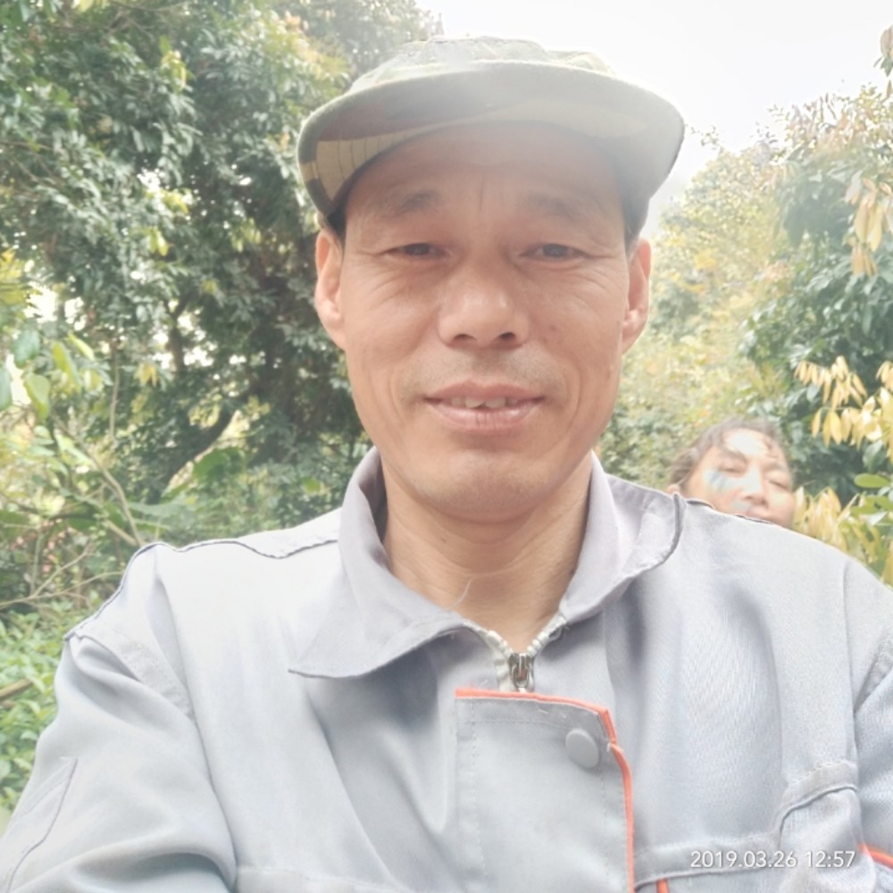 蜜粉的潇洒的照片