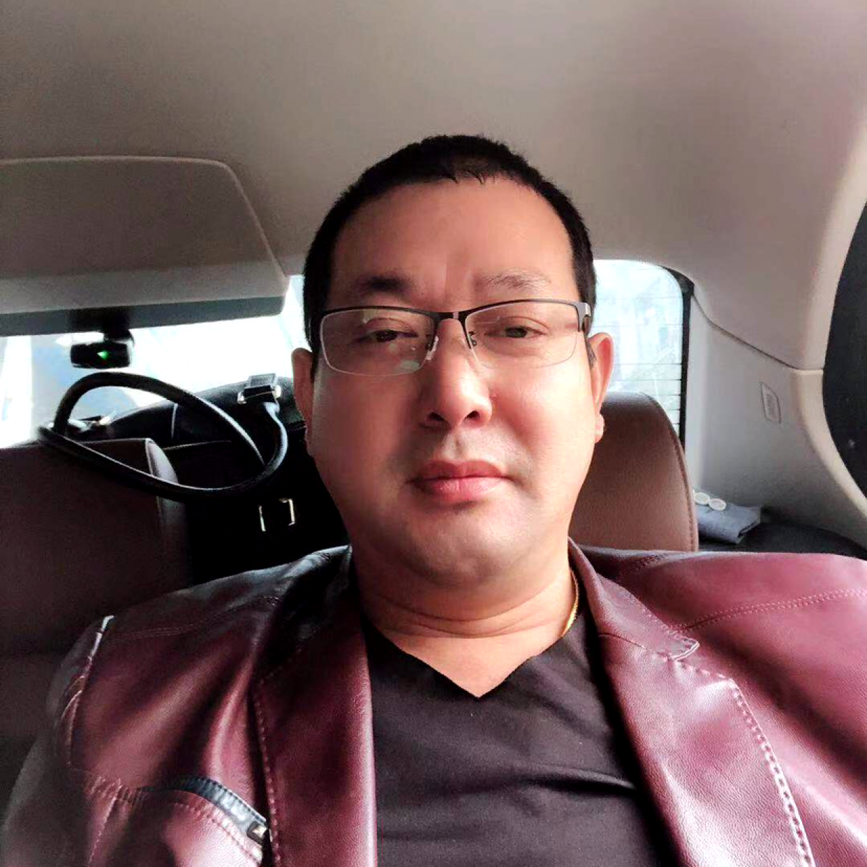 温柔放弃老鼠的照片