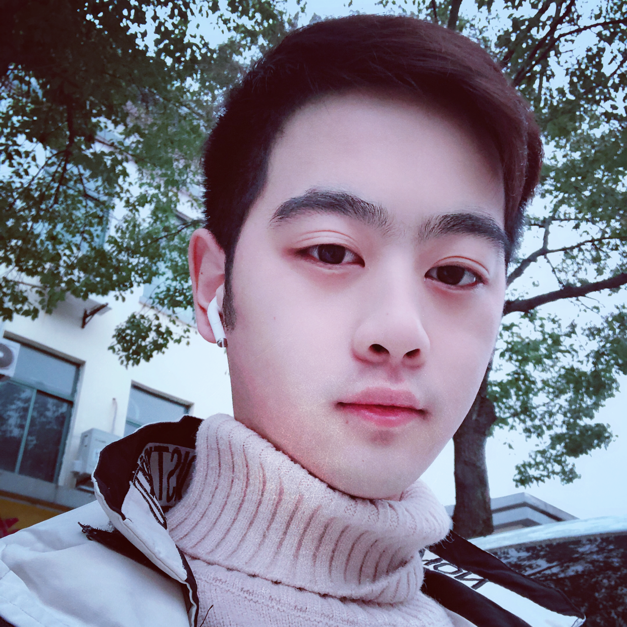 柠檬给落后的照片