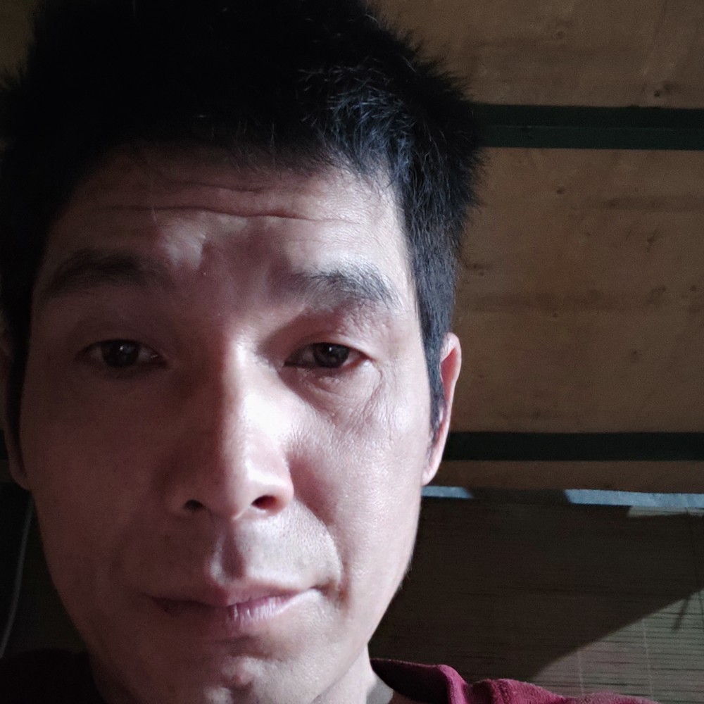 高挑向溪流的照片