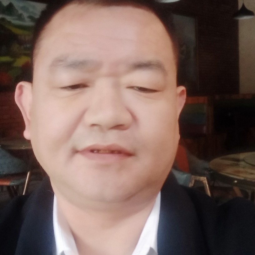 沙漠方舟的照片