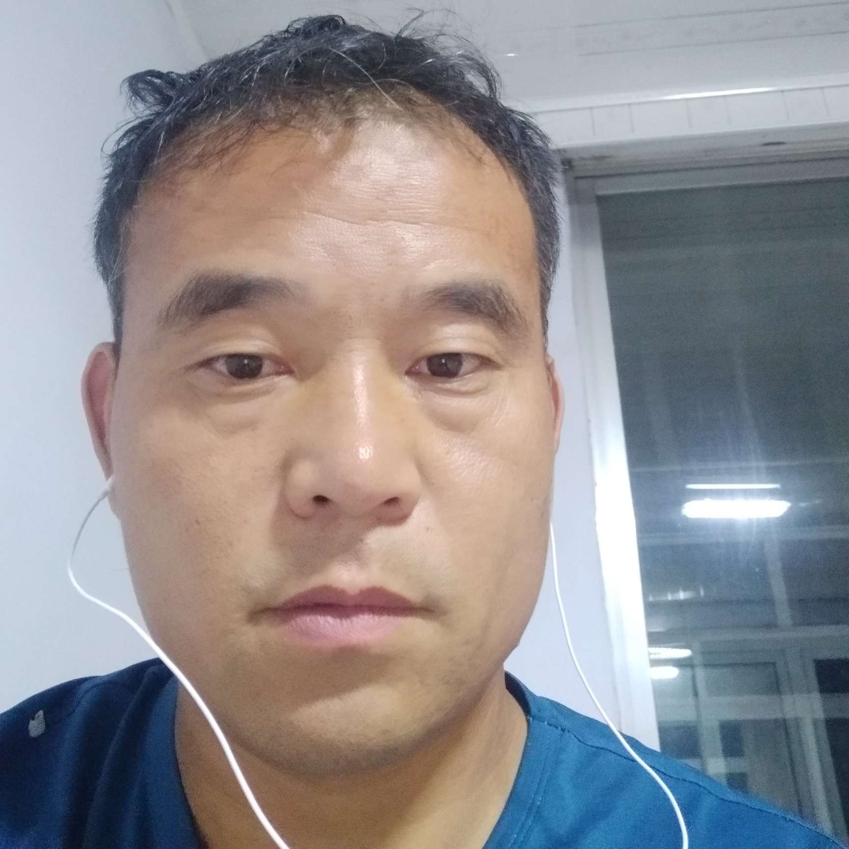 老迟到笑大树的照片