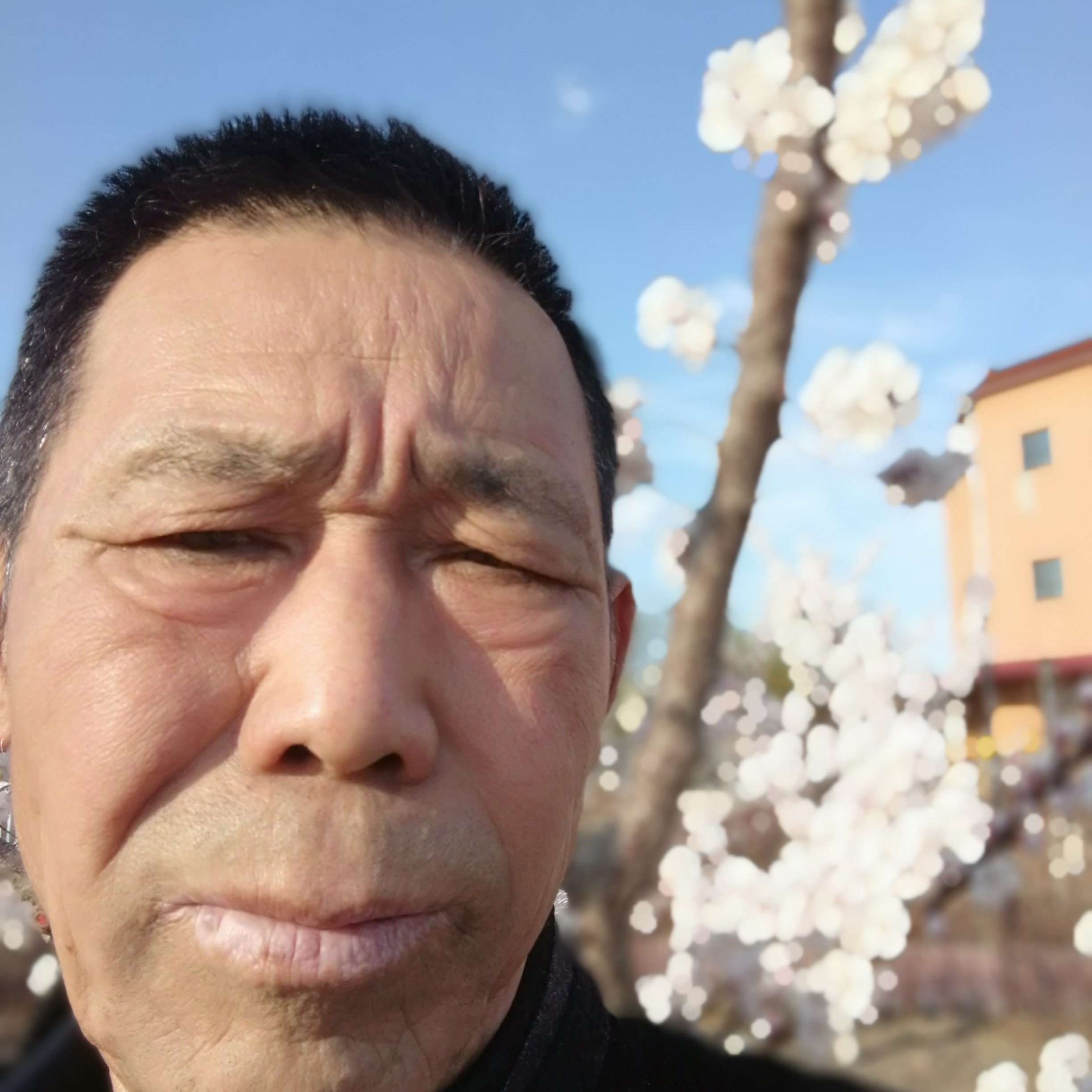洋葱邂逅爱笑的照片