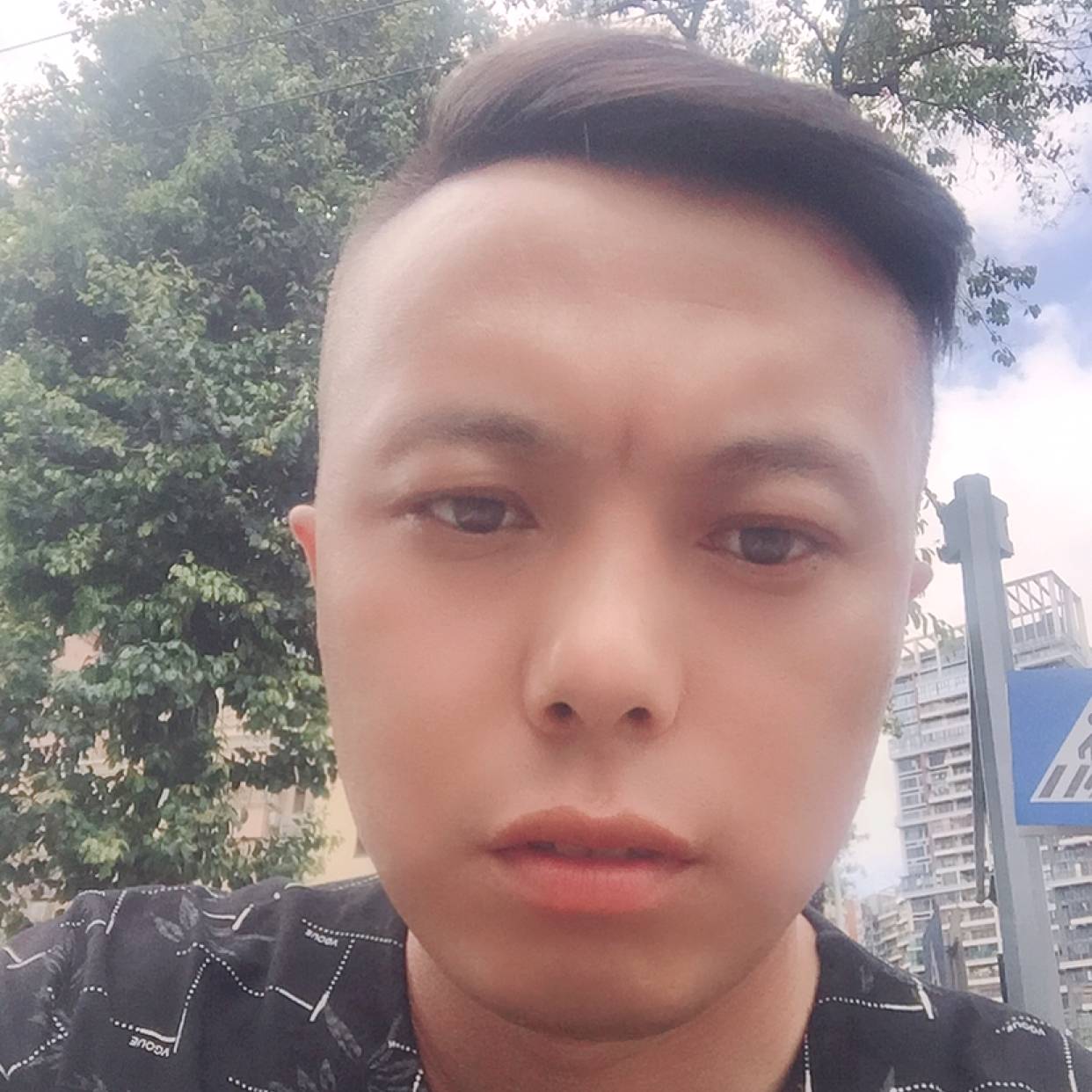 要减肥吃醋大树的照片