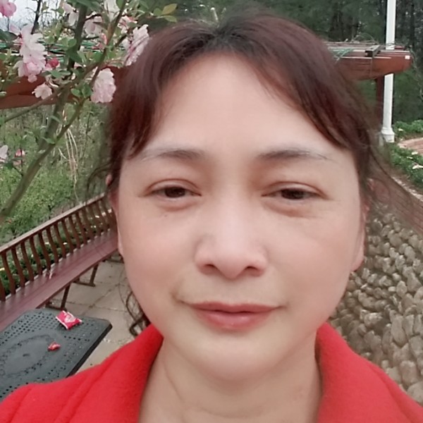 丁丁香的照片