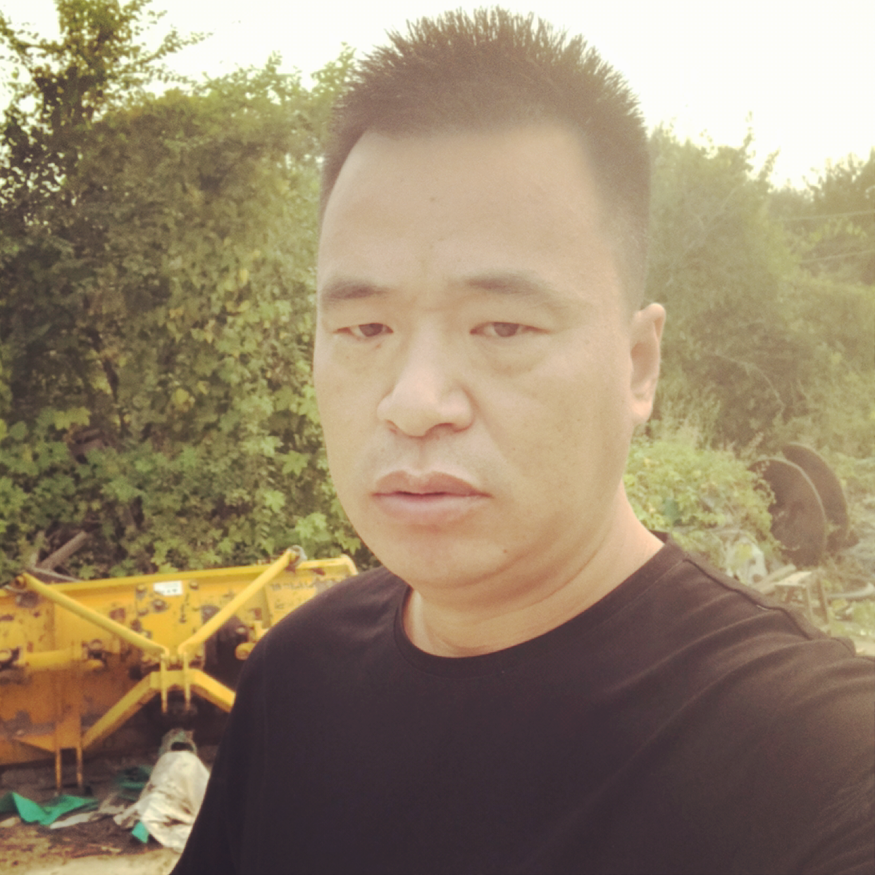 爱笑漫步鸭子的照片
