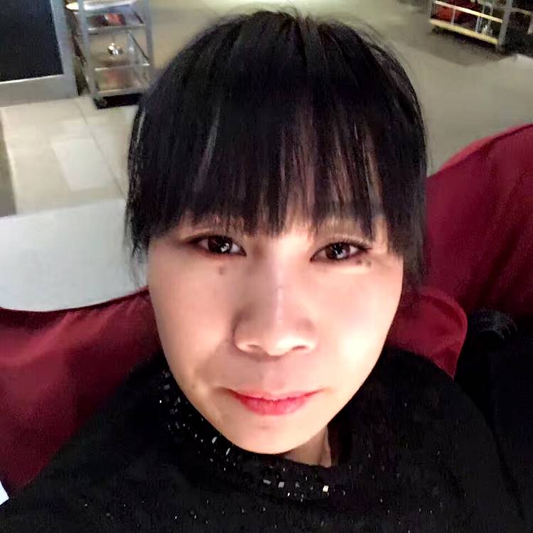 刺猬的照片