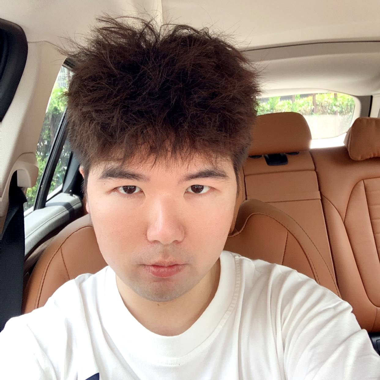 满意的板凳的照片