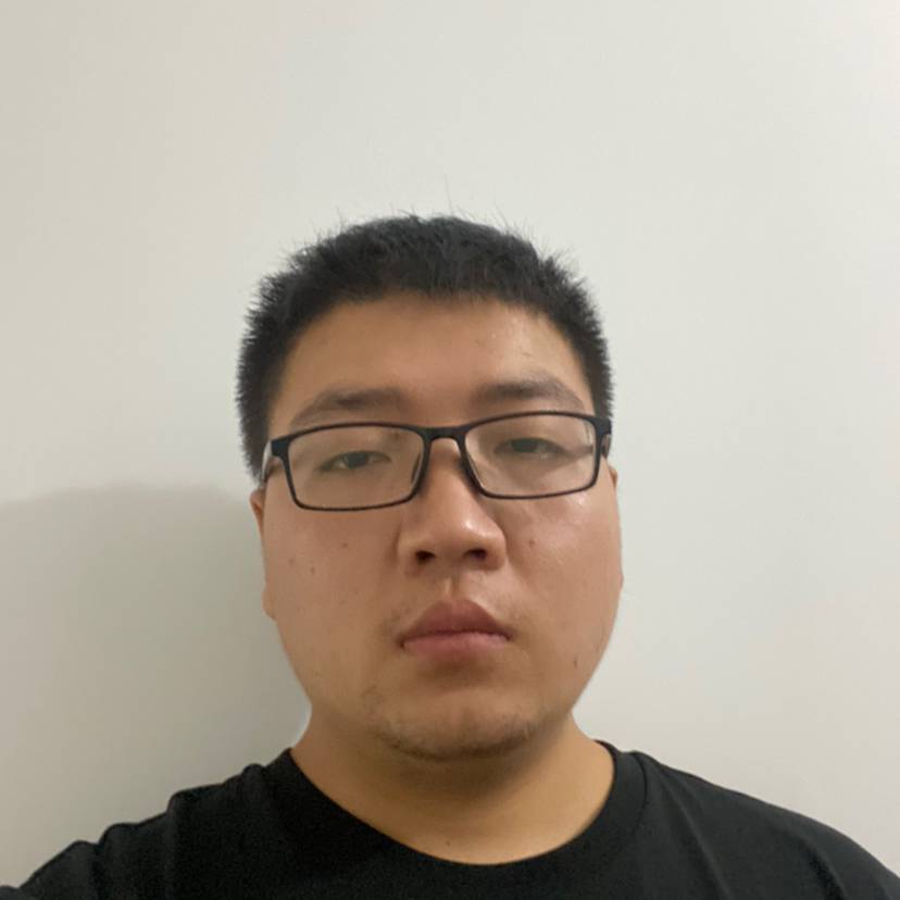 掌中的照片
