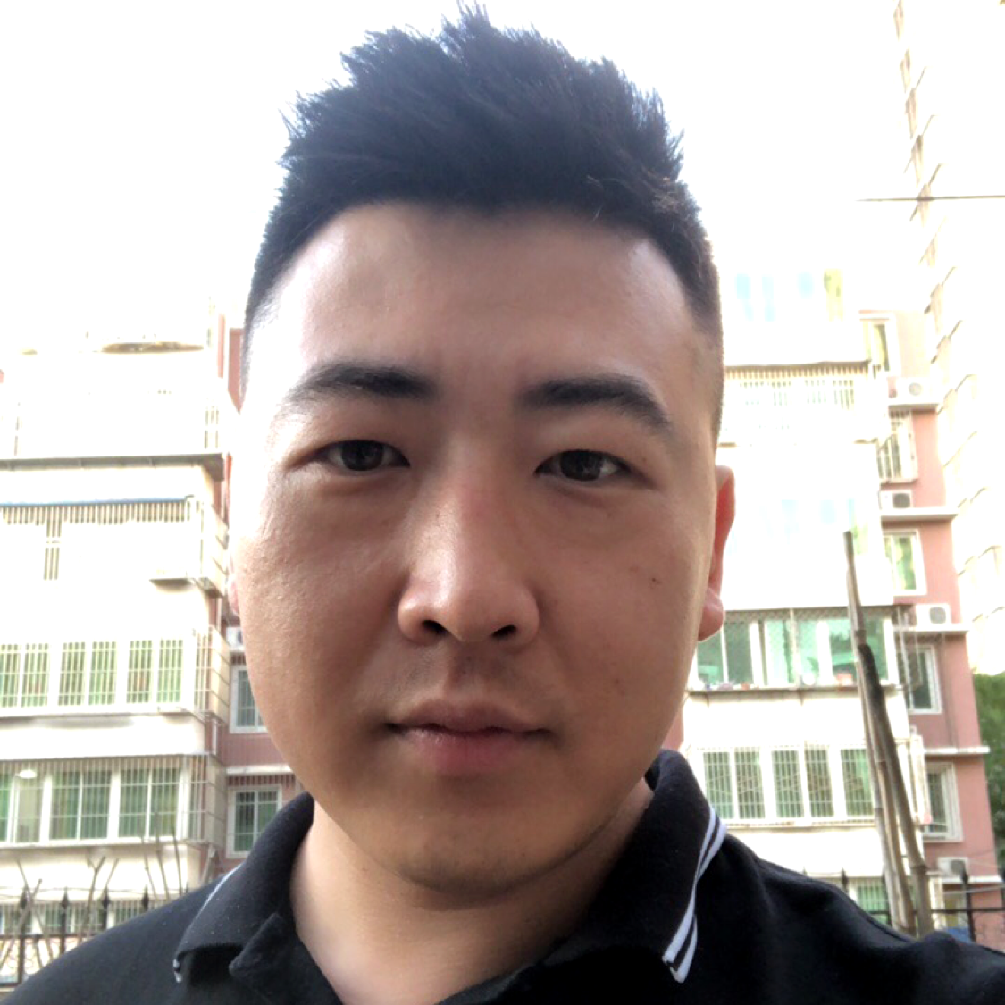 飞天小老鼠的照片